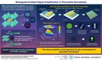 Pusan National University Researchers Boost Signal Amplification in Perovskite Nanosheets